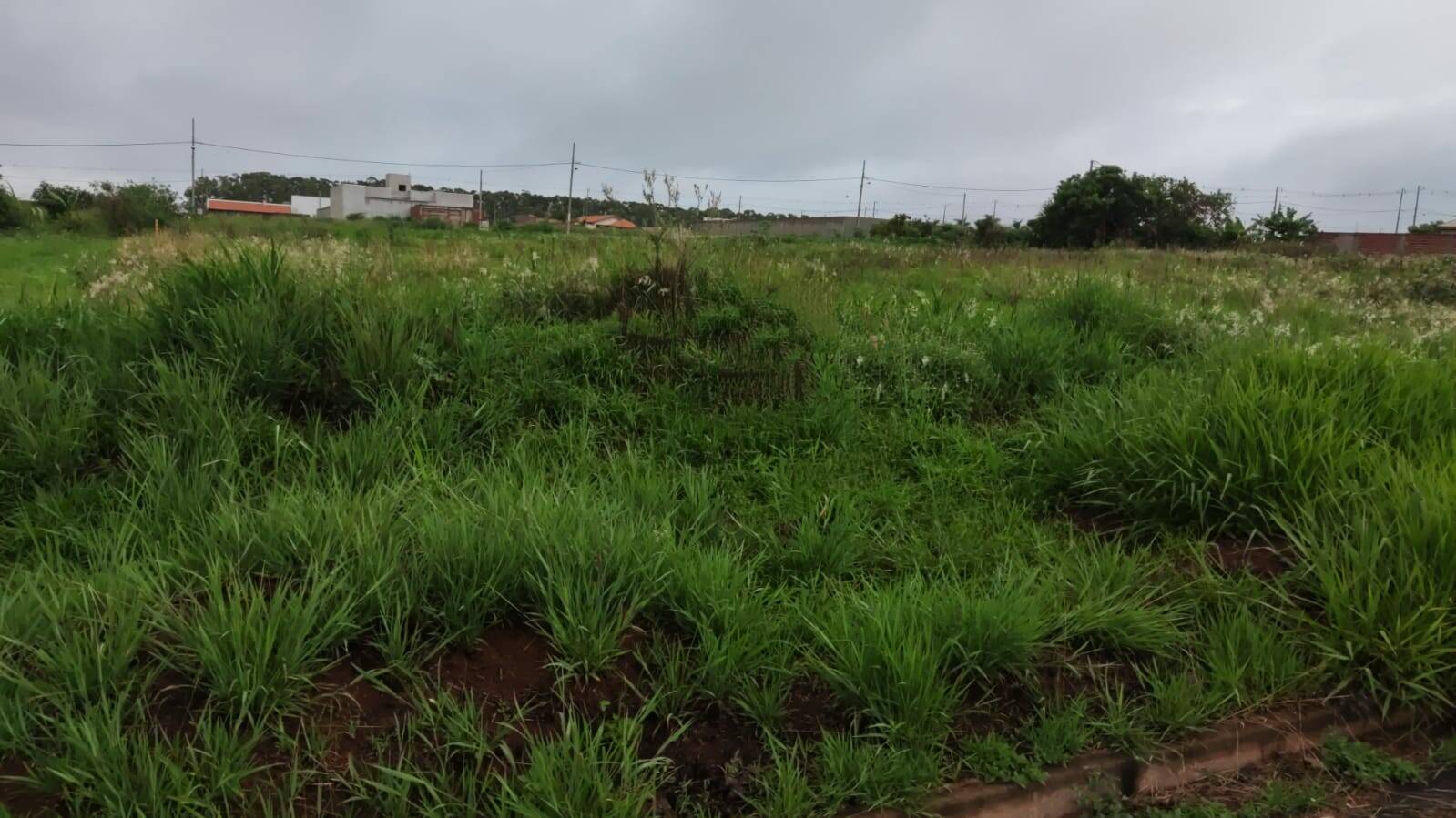 #45 - Área para Venda em Iguaraçu - PR
