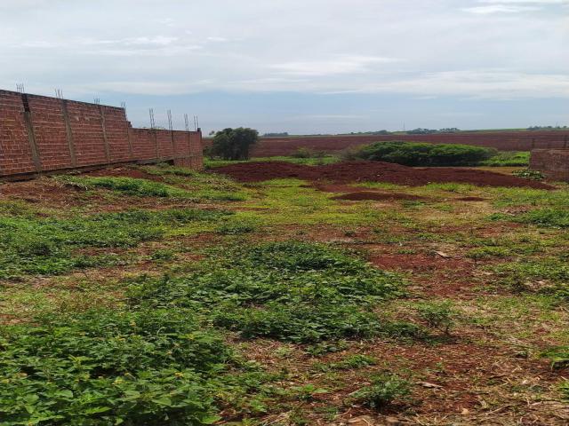 #33 - Área para Venda em Maringá - PR