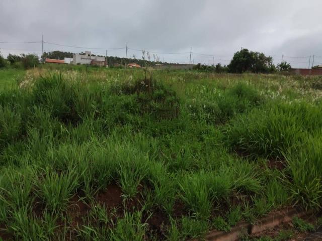 #45 - Área para Venda em Iguaraçu - PR - 1