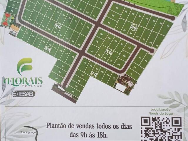  para  em  - 4